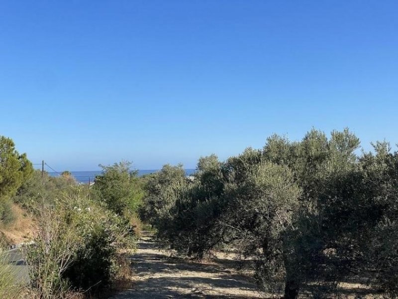Episkopi bei Chania Kreta, Episkopi: Grundstück mit Meerblick, nahe dem Strand zu verkaufen Grundstück kaufen